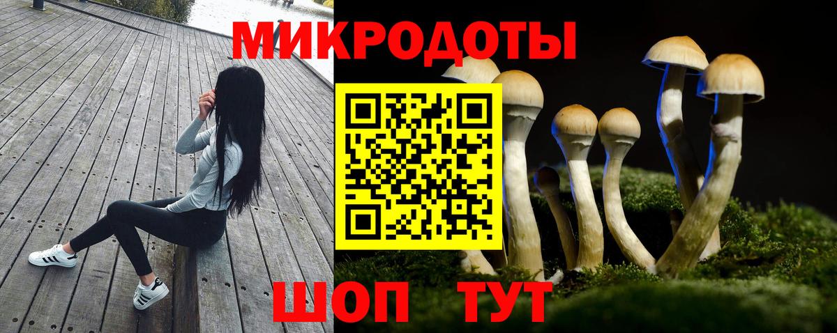 Томск  Галлюциногенные грибы мицелий  Вход с VPN 